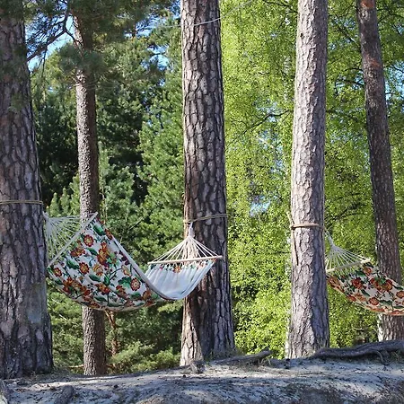 Bb Camping